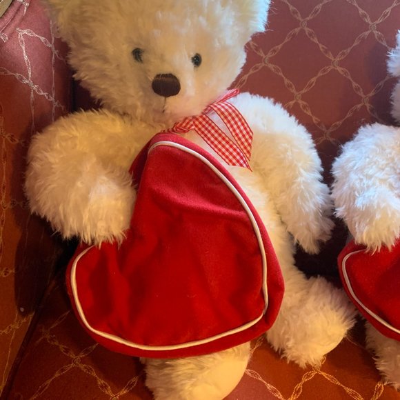 COPY - 2 Hallmark "From My Heart" White Bear Plush/Heart Gift Zip Bag - Picture 4 of 16